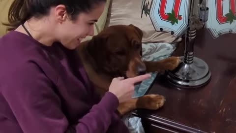😂🐶 She Realized She Could Turn On The Lamp By Booping The Dog's Nose! | FunFM