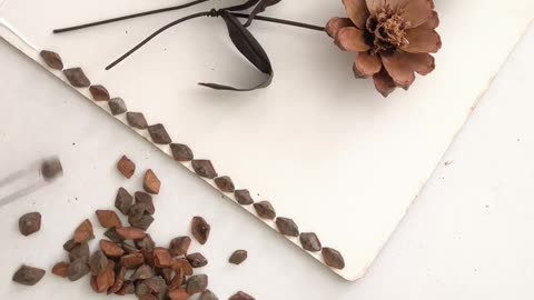 Amazing DIY Decoration with Pinecone Scales You Can Make at Home