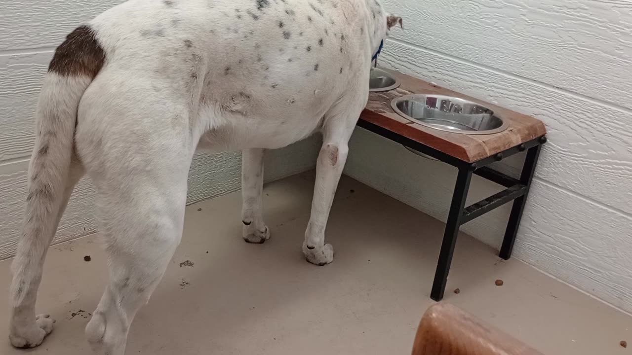 VID_20250504_134648805