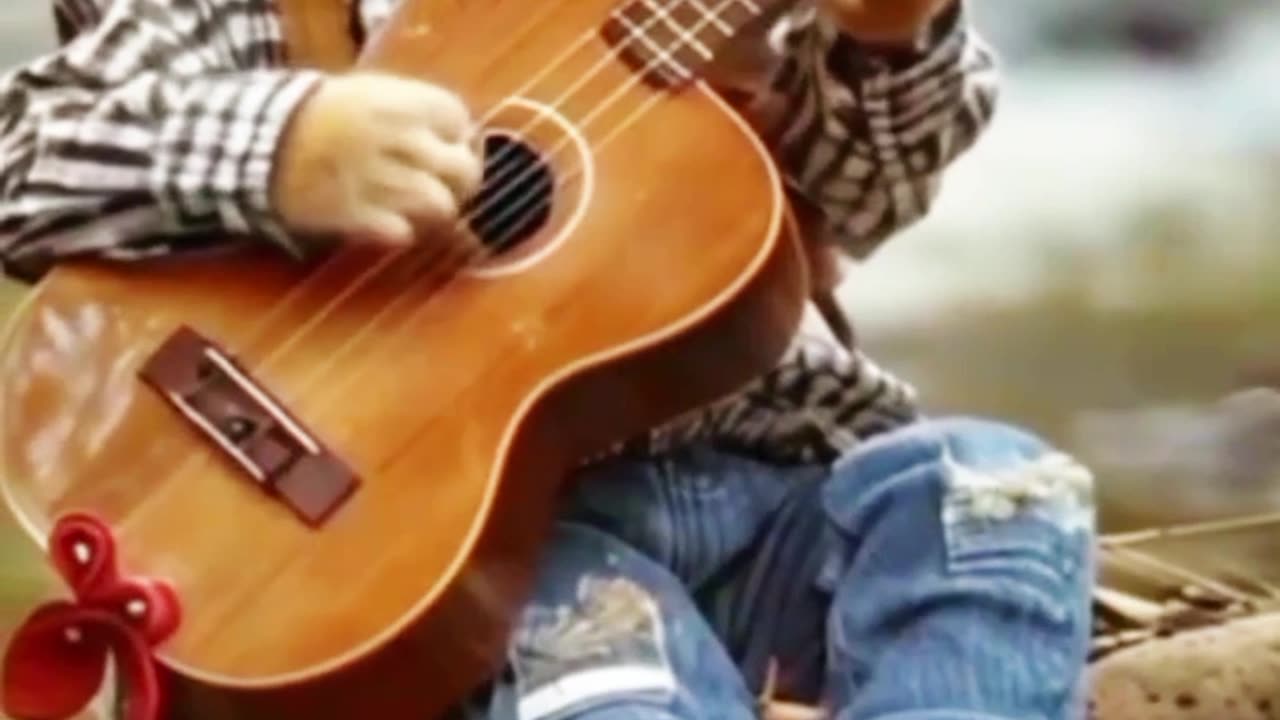 cat gitar music very fine | #cat #shorts #ytshorts #shortvideo #youtubeshorts #funnycats