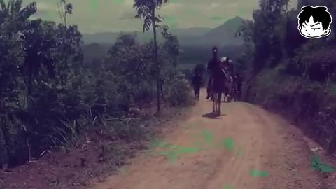 Rise of the Warrior