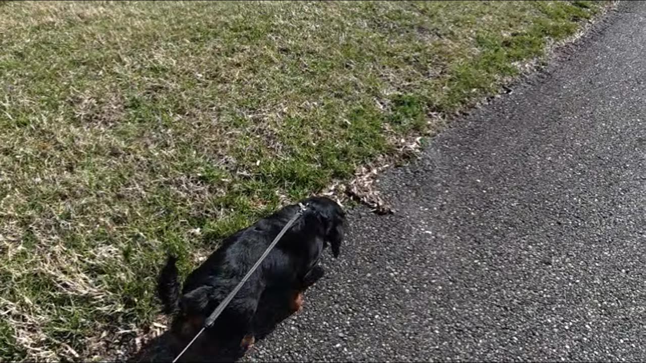 Just Random Cuteness