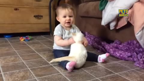 the best funny animal videos make you unable to stop laughing - funniest cats and dogs videos EP03