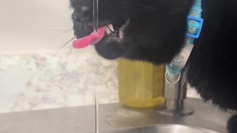 😂🛁 The Art of the Sink... Mastered! | FunFM