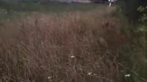🎯🛸 Ukraine Russia War | Ukrainian Soldier Shoots Down Russian FPV Drone | RCF