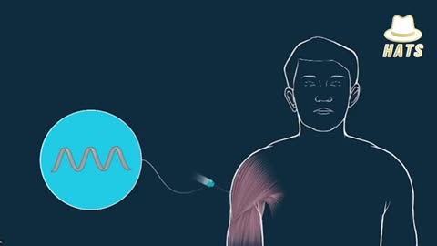 We Are Actually| Hcking The Software of Life💉 = Change of DNA
