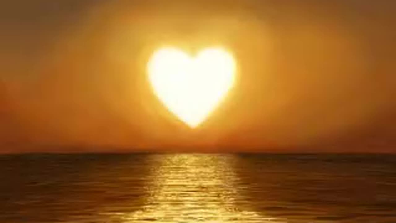 The Damned-Shadow of Love