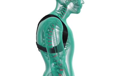 Correct Your Posture Now By Using This Posture Corrector Belt!
