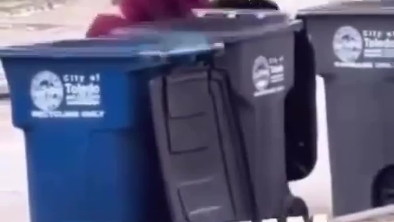 😂🚮 Wait Until You See How This Trash Gets Removed! | FunFM