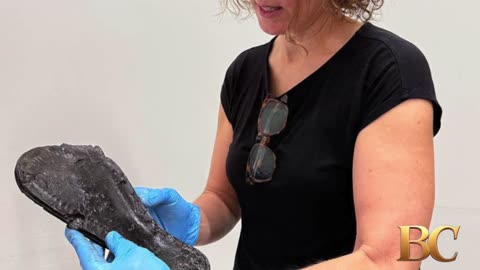 “Unusually large” 2,000-year-old shoes unearthed at a Roman site in northern England