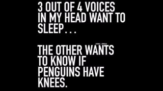 11225 Funny Laugh Out Loud Hilarious Memes Jokes Cartoons