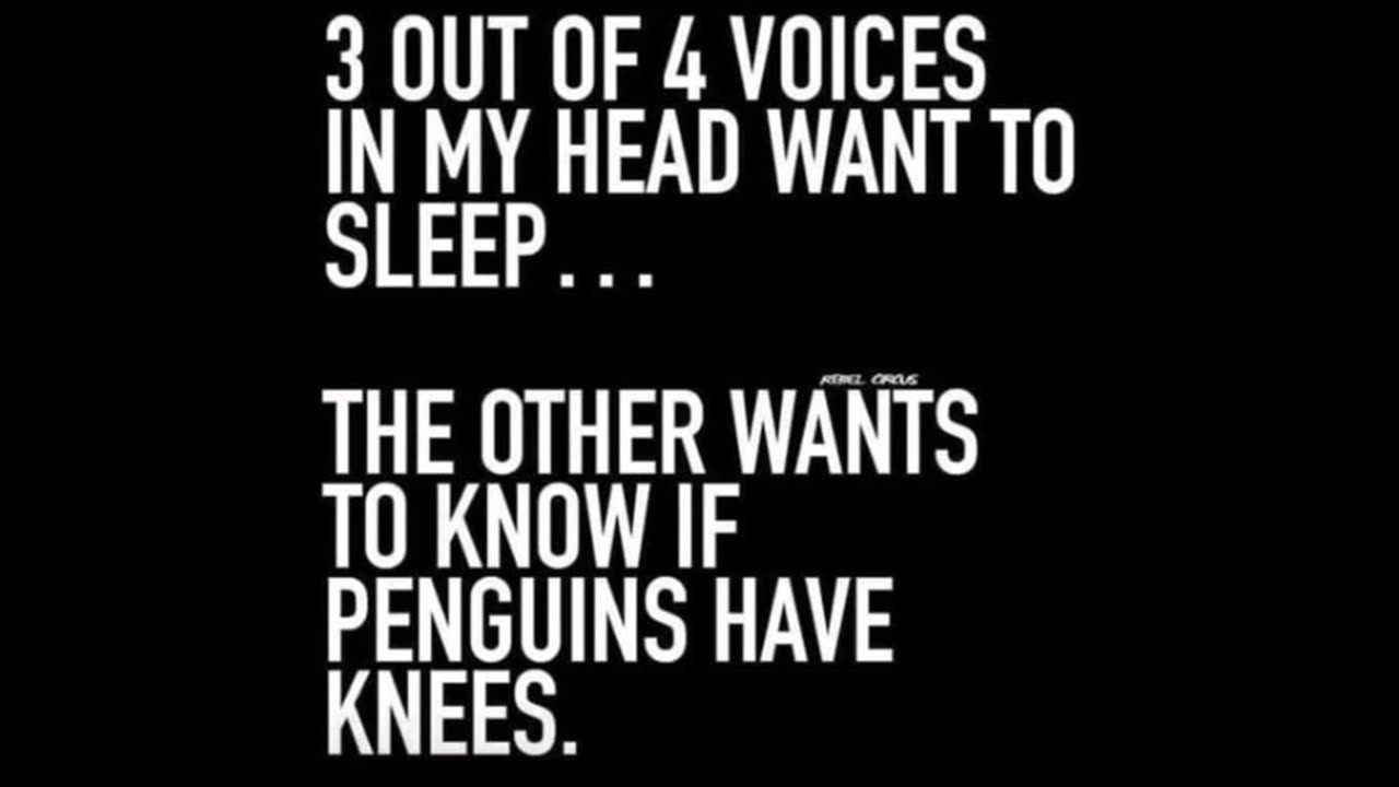 11225 Funny Laugh Out Loud Hilarious Memes Jokes Cartoons