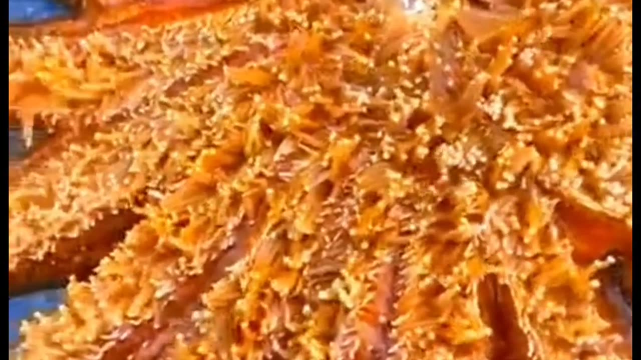 Mind-Blown & LOL: The Ultimate Viral Mix!