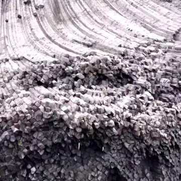 there were once huge trees that inhabited the Earth & some remain visible just petrified