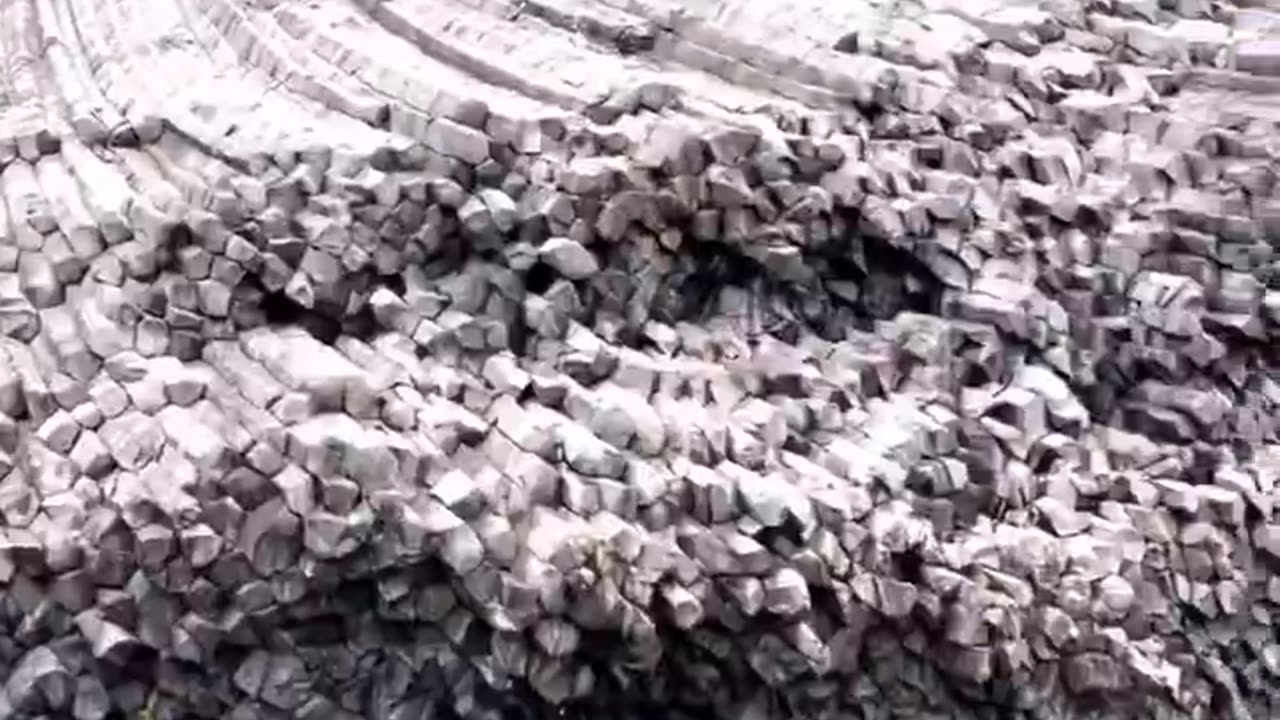 there were once huge trees that inhabited the Earth & some remain visible just petrified