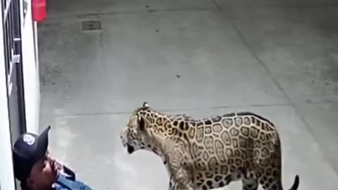 Sleeping at work can sometime save your innocence 😢😥