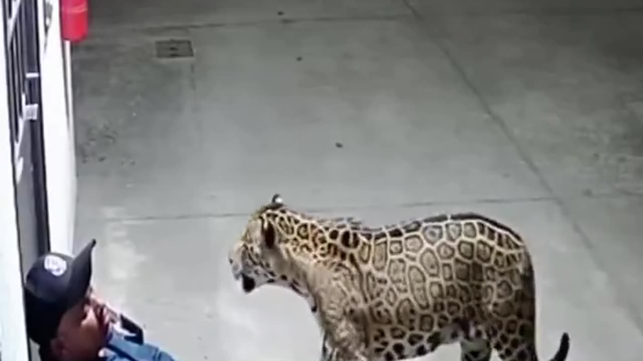 Sleeping at work can sometime save your innocence 😢😥