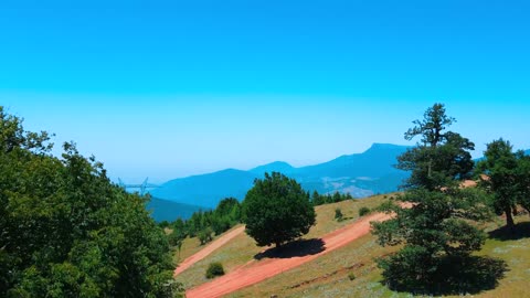 "Don’t tell people your dreams. Show them." #