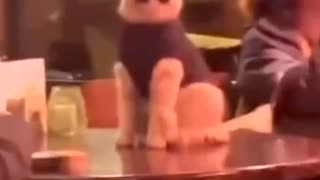News Break