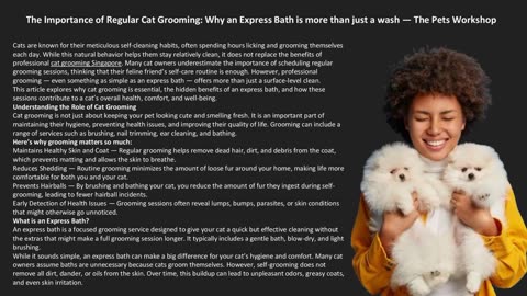 The Importance of Regular Cat Grooming: Why an Express Bath is more than just a wash
