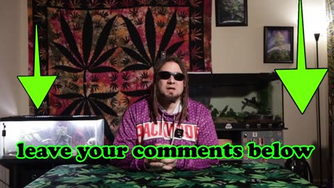 Contaminated bud from your local dispensary ep 8 old youtube