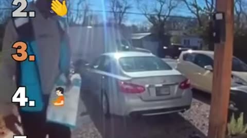 Cats Playing With Humans