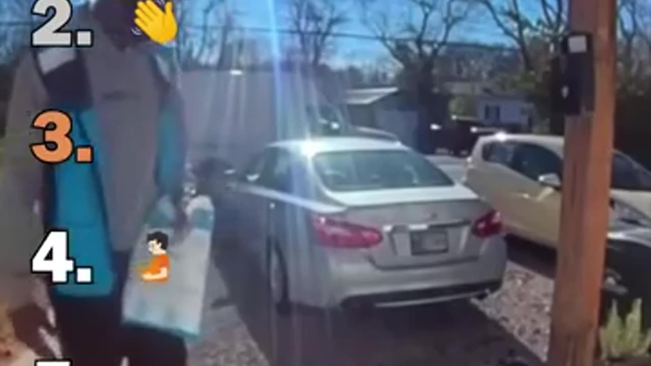 Cats Playing With Humans