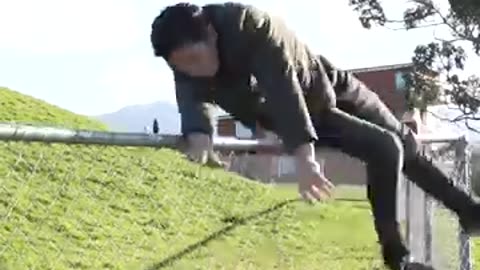 How Animals Get Over a Fence.