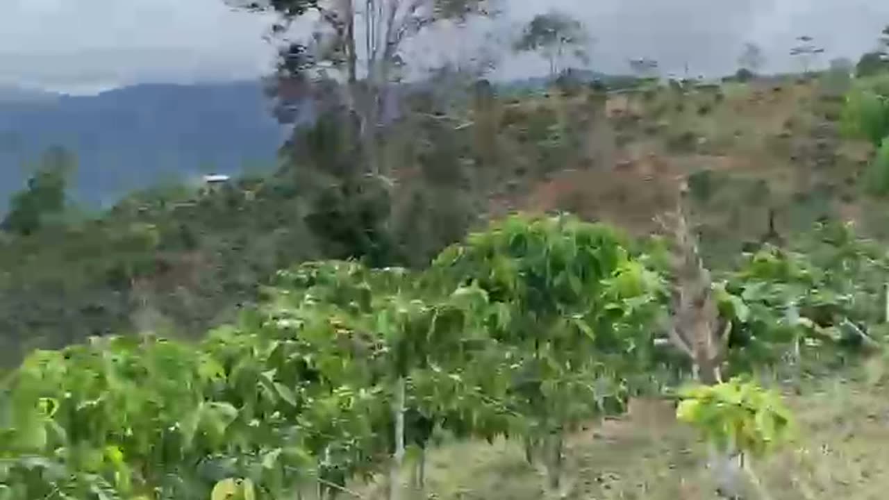 Mountain views
