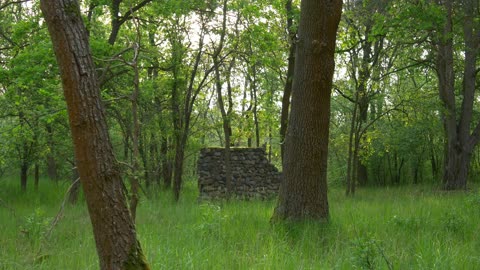 2 minutes of tranquility: The Wall from Ancient Times - Deep Forest Meditationt