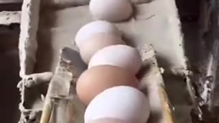 BEWARE: Fake chemical eggs