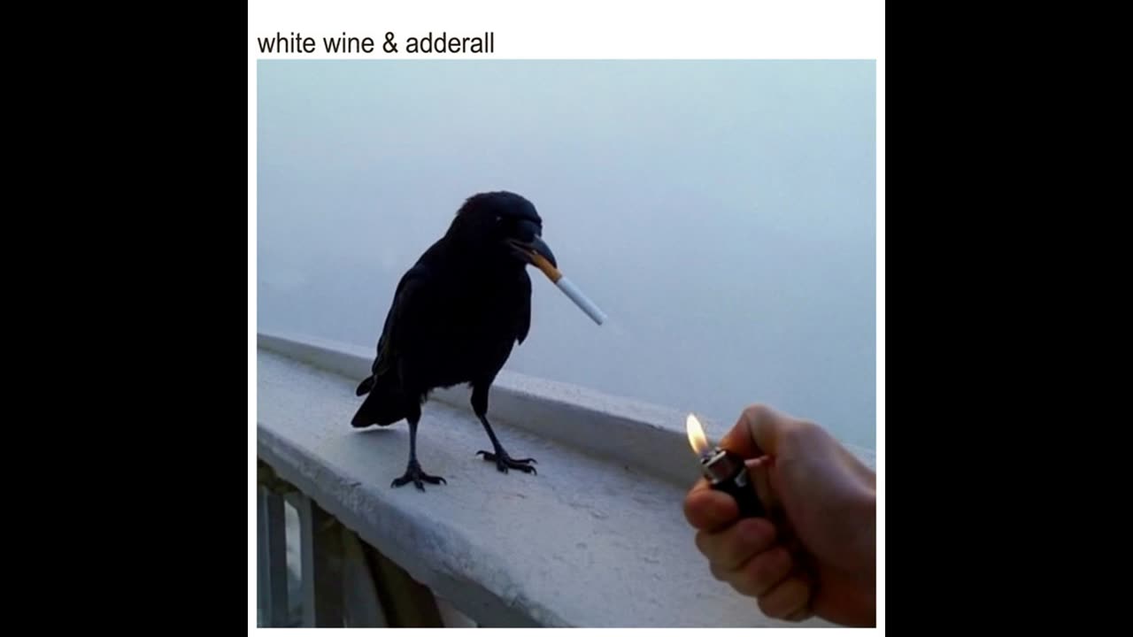 The Chainsmokers, Beau Nox - White WIne & Adderall (SLOWED + REVERB)