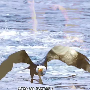 REFLEXIONES 💫 🤍 💫 🤍 💫 🤍