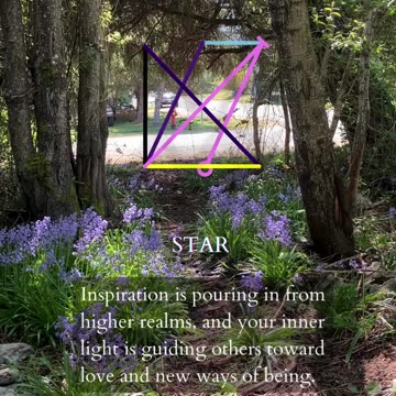 Everything Is In Reach | Path and Tarot Reading