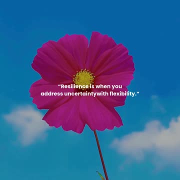 Resilience is when you address uncertainty with flexibility.