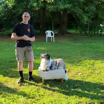 Shaping the Stay Cue short 7