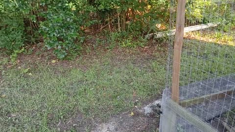 I got Injured/Wounded and need advice.