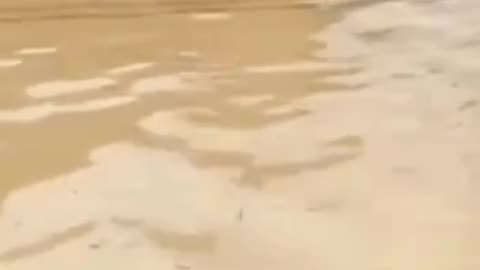 ssd