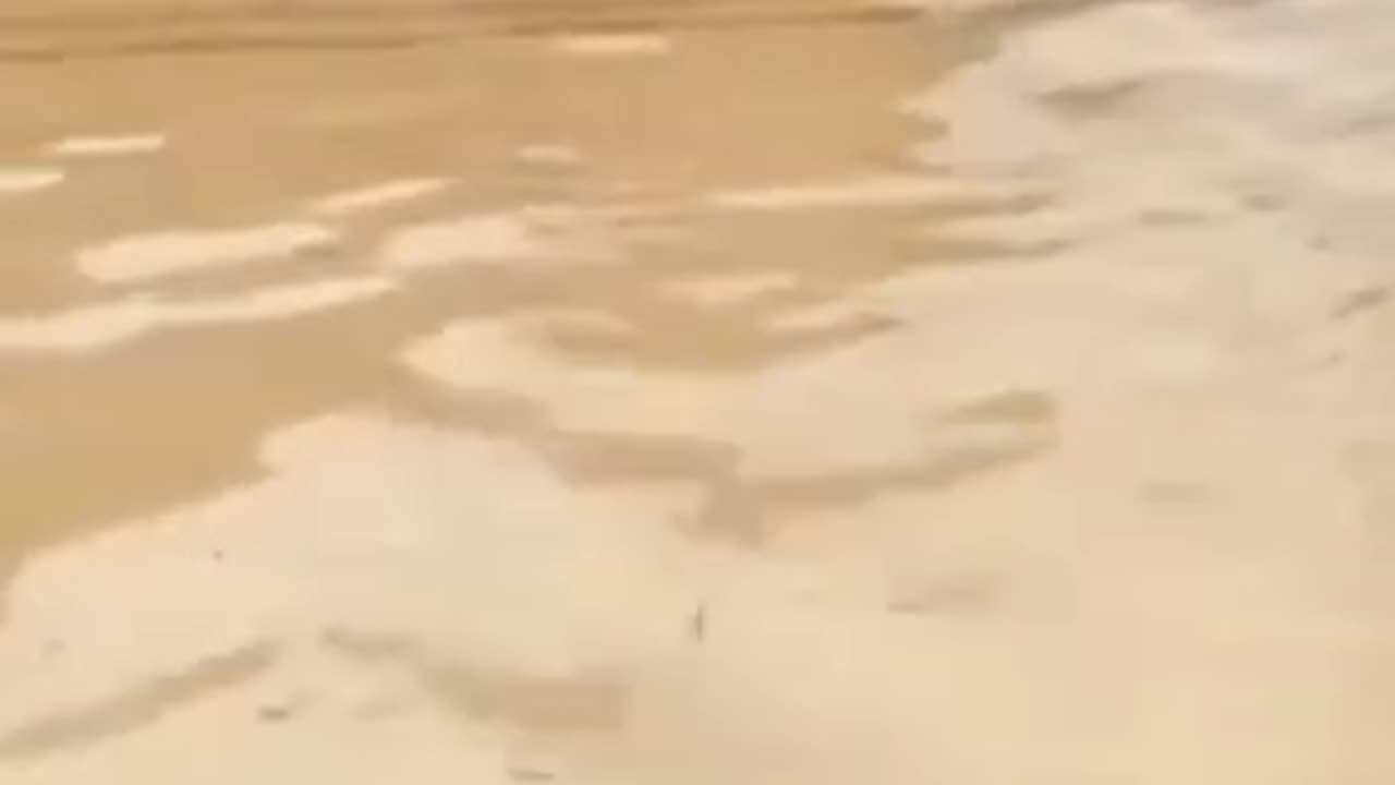 ssd