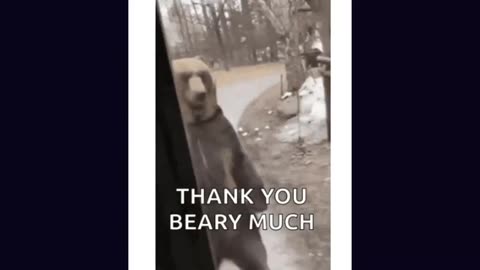 Santa Surfing 01312026 Bubba is Waiting Silver Squeeze Epstein Money Laundering Big Banks Demise