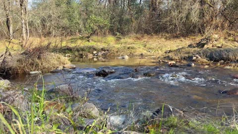Little creek flowing water
