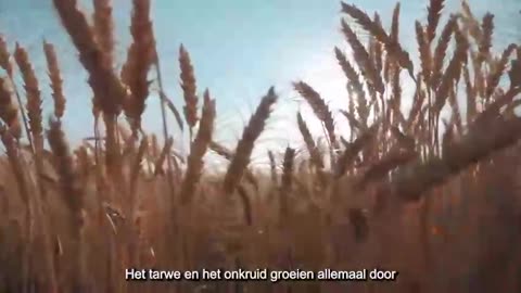 CHRISTIANITY (PT. 3) THE RELIGION OF CHRISTIANITY IS THE TARES THAT SATAN PLANTED (Dutch/NL Subs)