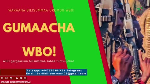 Gabaasa Gumaacha ONM-ABO Adoolessa 5-2025 itti dhiyaadhaa!