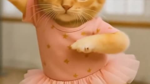 kitten dance