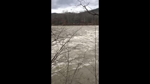 Quick 40 Second ASMR River Reset 🌿 | French Broad River | North Carolina
