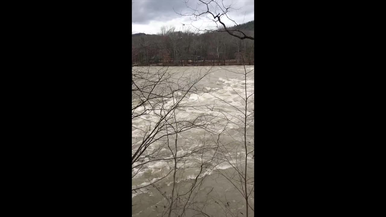 Quick 40 Second ASMR River Reset 🌿 | French Broad River | North Carolina
