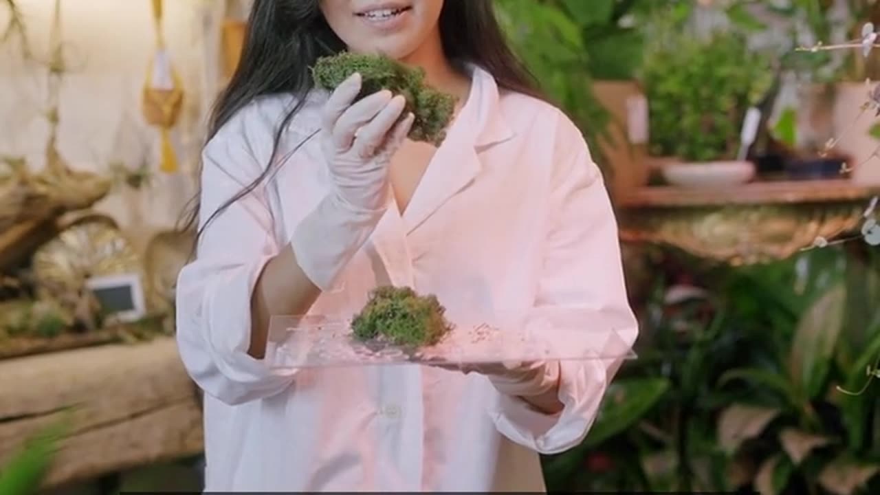 Daily Horoscope | Taurus 🌟