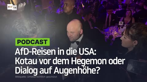 AfD-Reisen in die USA: Kotau vor dem Hegemon oder Dialog auf Augenhöhe?