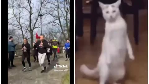 Taka sytuacja 😎