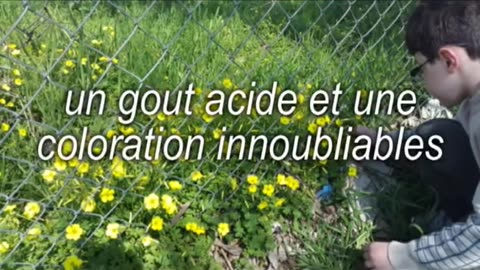 02- Copie de Hommeidha ou les 1èrs signes du printemps